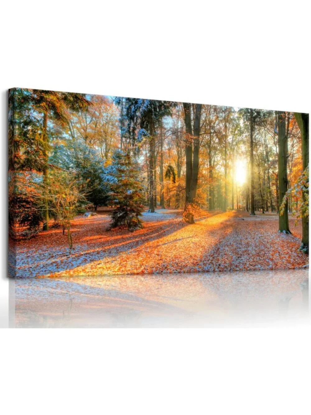 Autumn Forest Canvas Wall Art - Sunset Tree Landscape Print for Home Decor